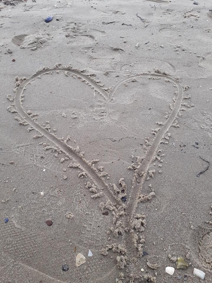 Hart Denemarken
