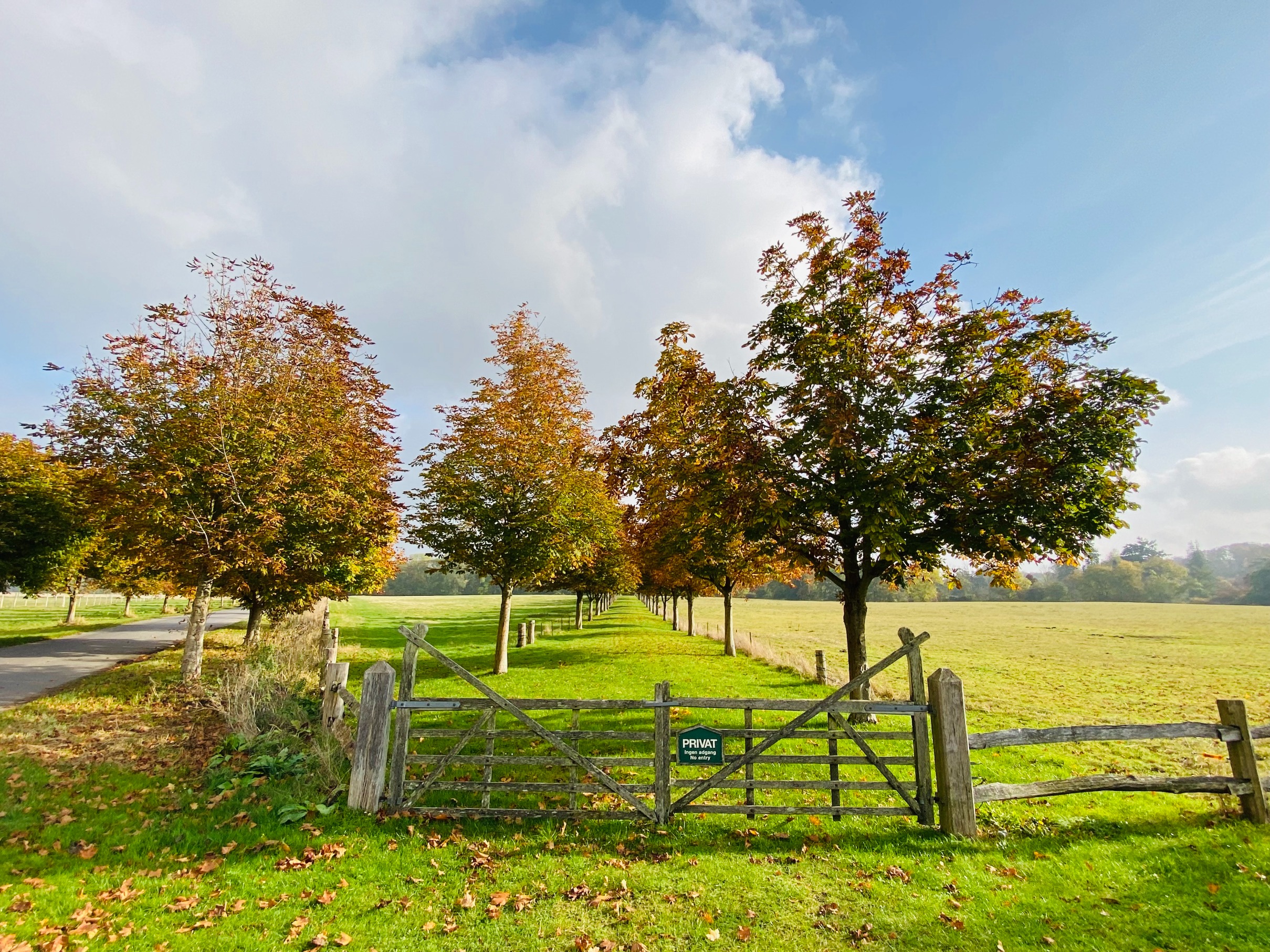 Op vakantie in de herfst naar Denemarken