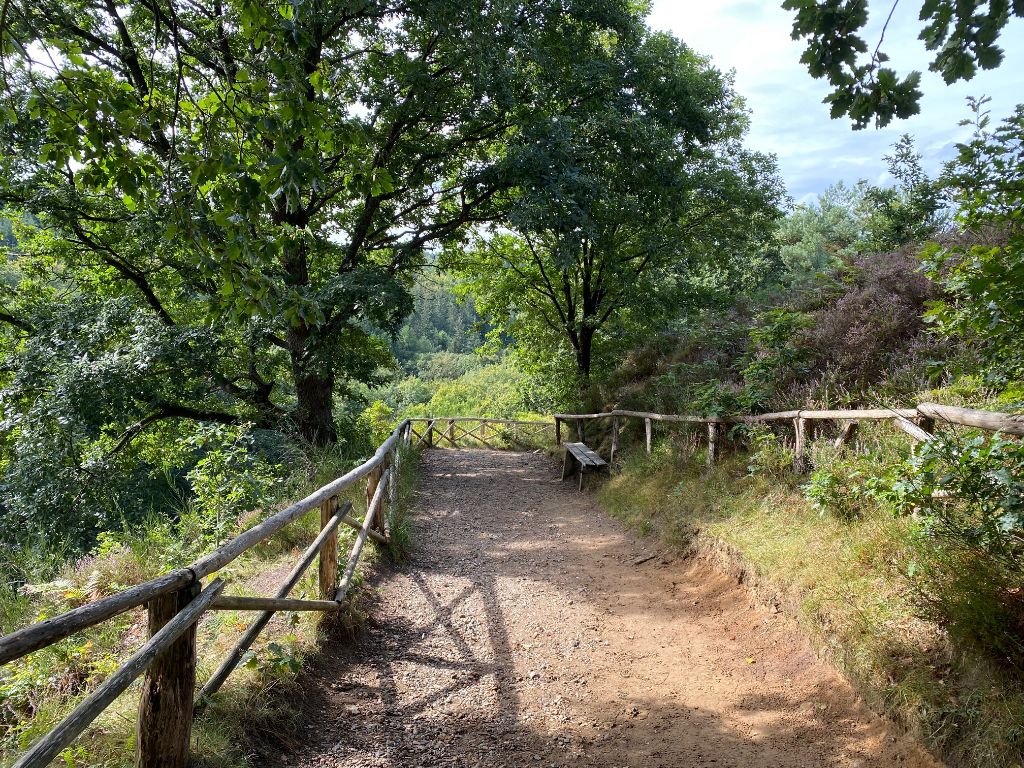 Wandelpad-Himmelbjerget