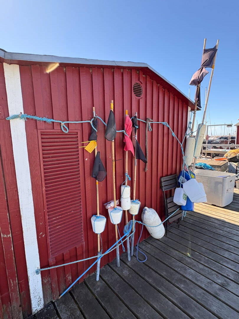 Haven-Helsingør