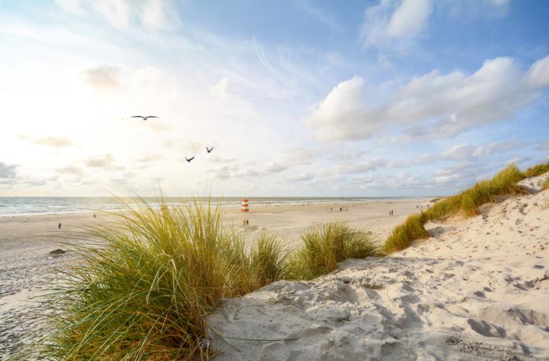 Lalandia Søndervig Strand