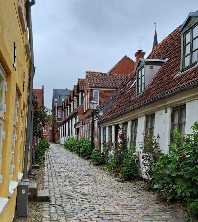 Ribe-oudste-stadje-Denemarken