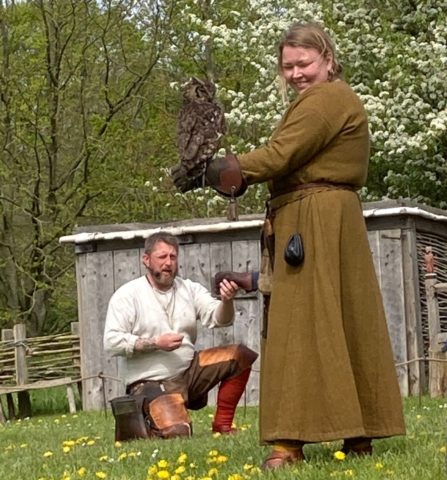Roofvogelshow in Ribe