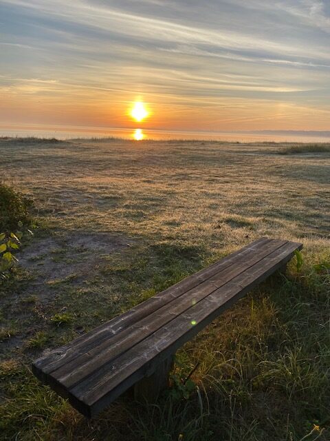 zonsopkomst-vejlbyfed