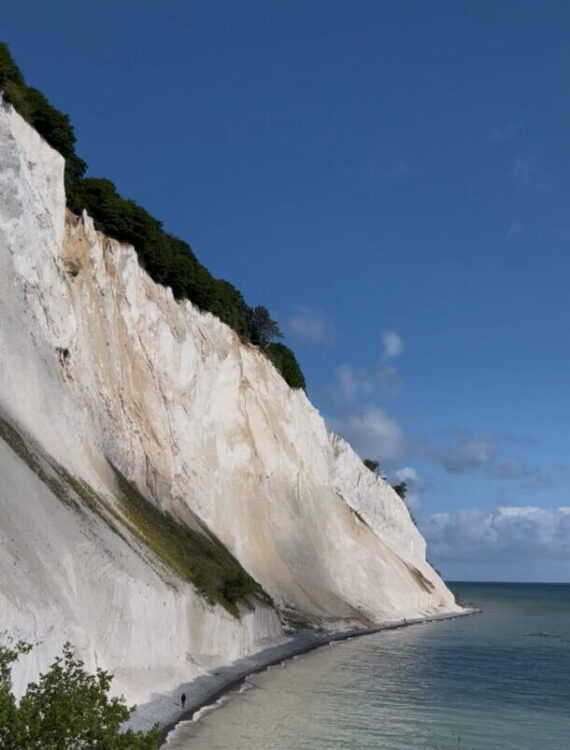 Krijtrotsen Møns Klint Denemarken