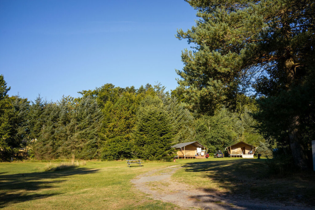 TolneCamping