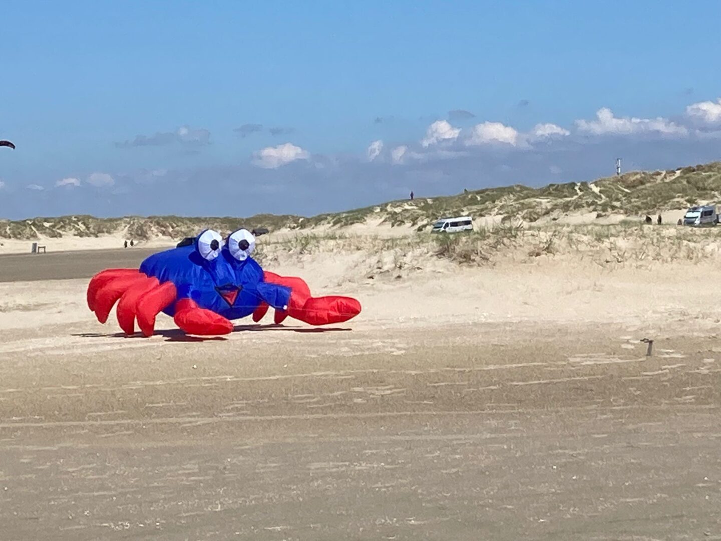 Vliegeren op het strand op Rømø