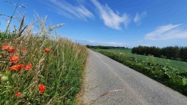 Fietsvakantie-Rondje-Funen-Ærø